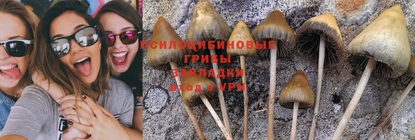 гидра Медногорск