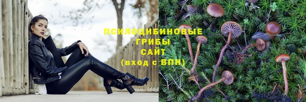 мдма Пролетарск