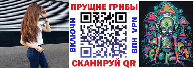 Псилоцибиновые грибы MAGIC MUSHROOMS  Плавск 